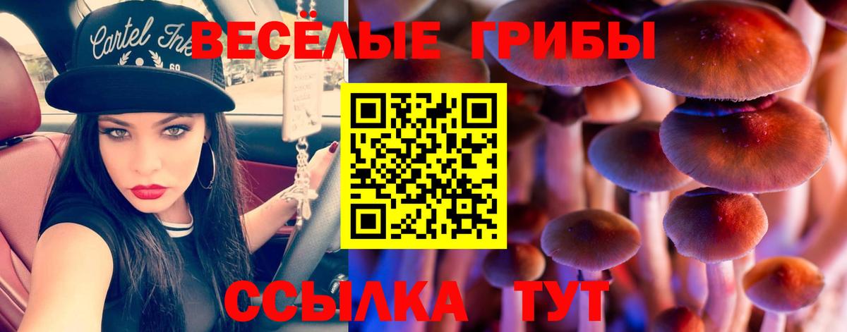 Галлюциногенные грибы GOLDEN TEACHER  Вход с VPN  Дзержинский  Псилоцибиновые грибы Cubensis 